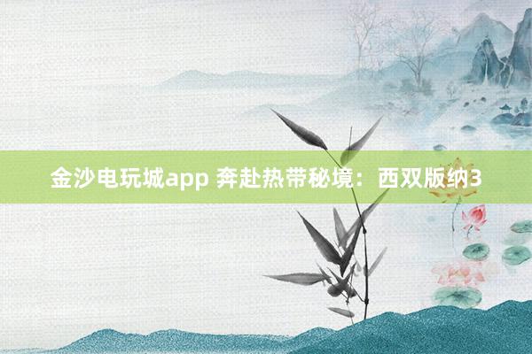 金沙电玩城app 奔赴热带秘境：西双版纳3