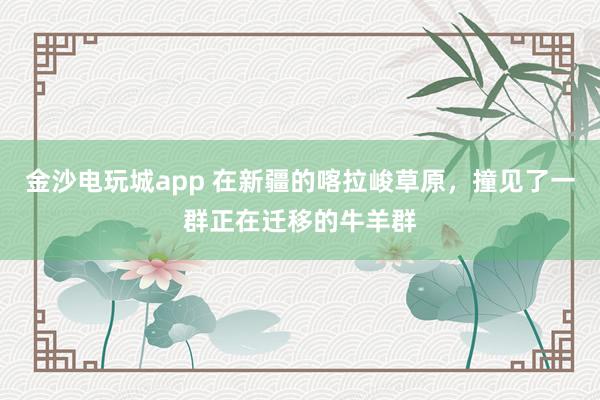 金沙电玩城app 在新疆的喀拉峻草原，撞见了一群正在迁移的牛羊群