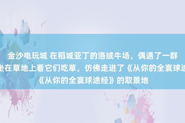 金沙电玩城 在稻城亚丁的洛绒牛场，偶遇了一群野生的岩羊，坐在草地上看它们吃草，仿佛走进了《从你的全寰球途经》的取景地
