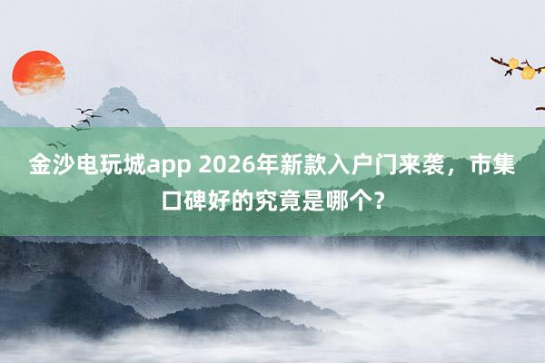 金沙电玩城app 2026年新款入户门来袭，市集口碑好的究竟是哪个？