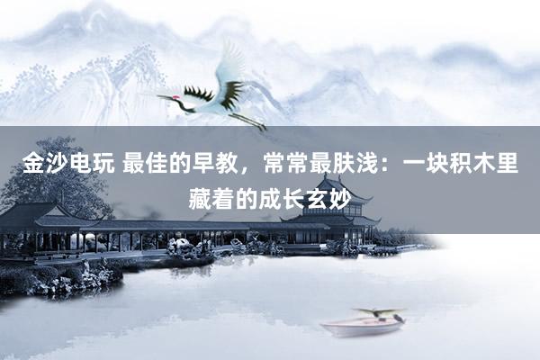 金沙电玩 最佳的早教，常常最肤浅：一块积木里藏着的成长玄妙