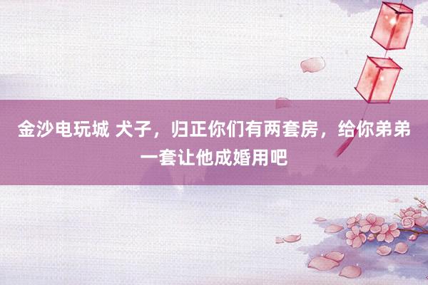 金沙电玩城 犬子，归正你们有两套房，给你弟弟一套让他成婚用吧