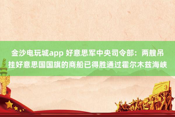 金沙电玩城app 好意思军中央司令部：两艘吊挂好意思国国旗的商船已得胜通过霍尔木兹海峡