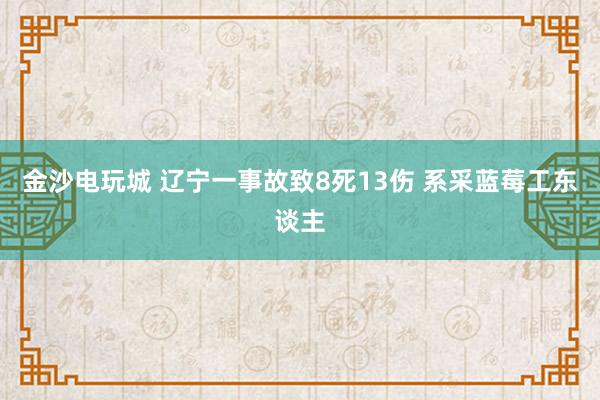 金沙电玩城 辽宁一事故致8死13伤 系采蓝莓工东谈主