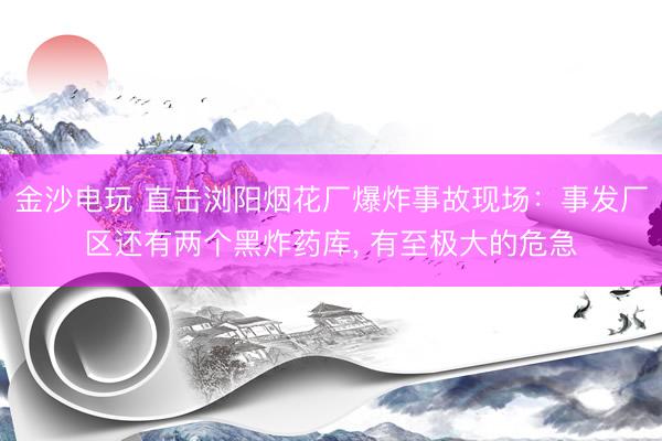 金沙电玩 直击浏阳烟花厂爆炸事故现场：事发厂区还有两个黑炸药库， 有至极大的危急